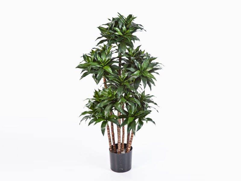 Kunstpflanze Dracaena fragans compacta